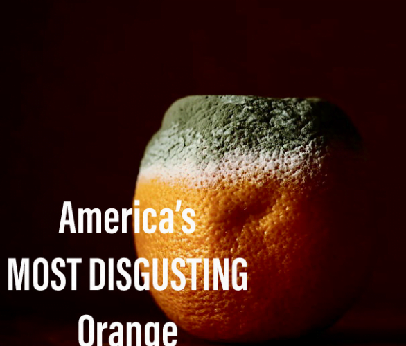 America's MOST DISGUSTING Orange