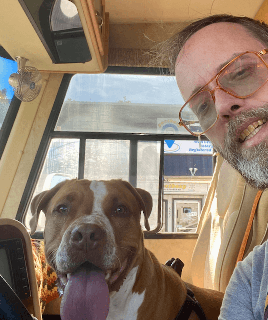 Mister Poodles aka Dexter and "The Site" learning how to operate a motorhome.